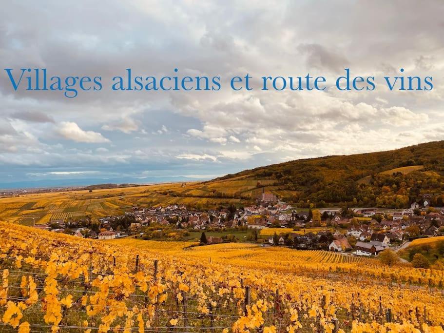 New L'Industr'Ill Au Coeur De L'Alsace Daire Sélestat Dış mekan fotoğraf