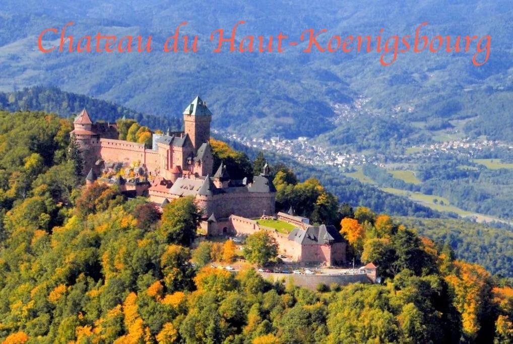 New L'Industr'Ill Au Coeur De L'Alsace Daire Sélestat Dış mekan fotoğraf